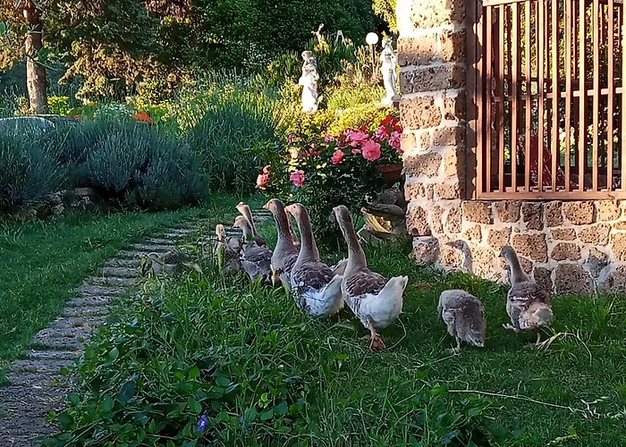 Villa La Nocciolaia Narni