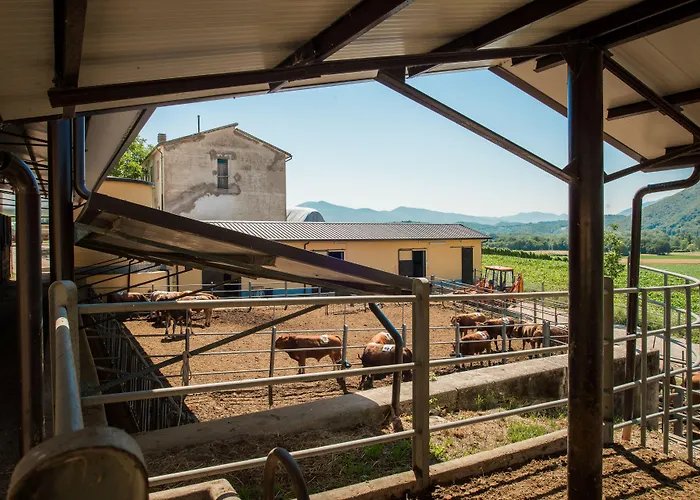 Fattoria Didattica La Collina Incantata Narni